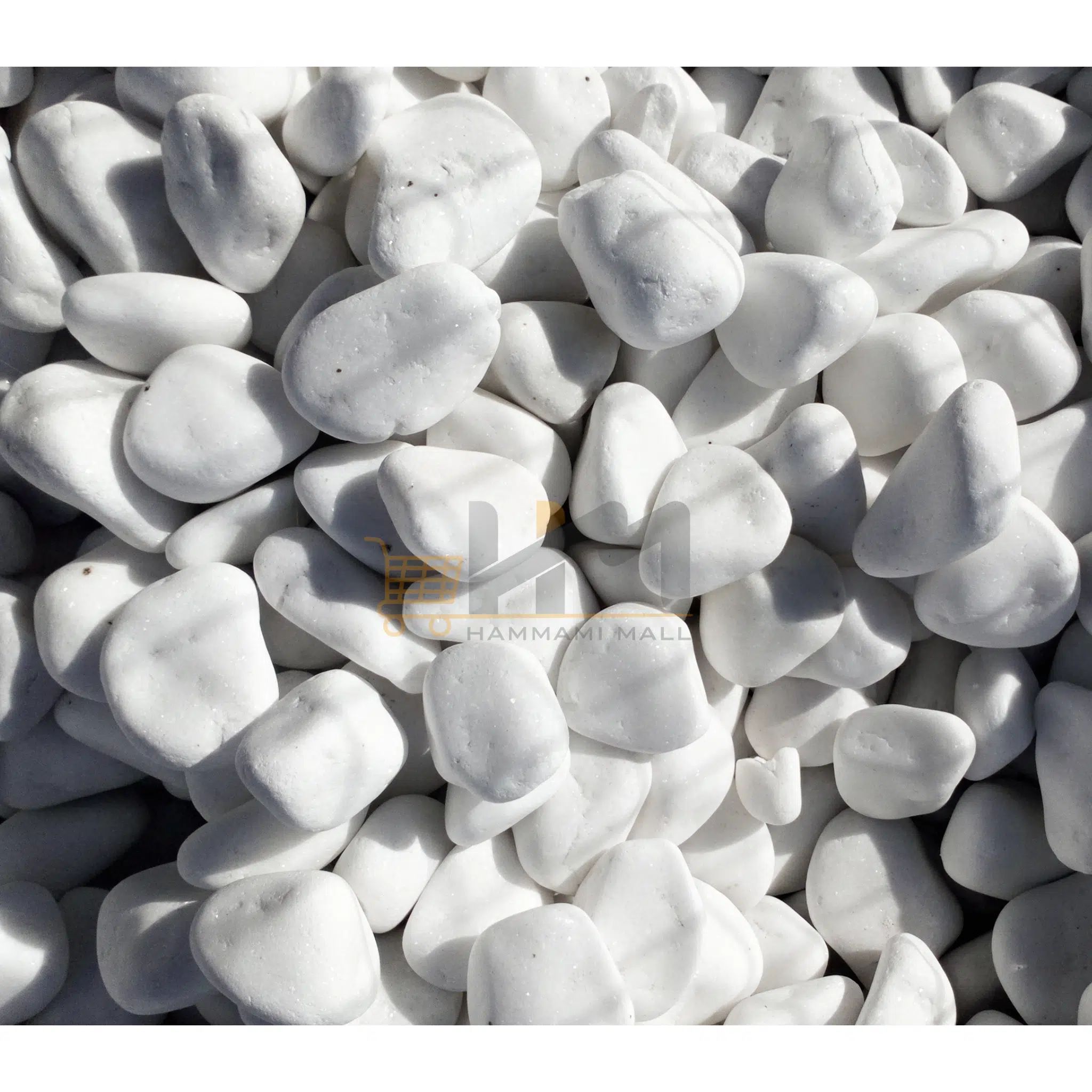 Galet Thasos Blanc Diam. 40/80 (20 kg) SJT70102