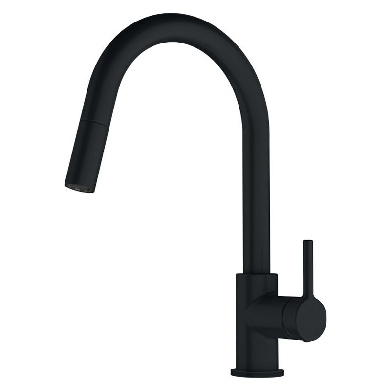Mitigeur Évier Noir Mat FRAMO 614 avec Douchette Extractible
